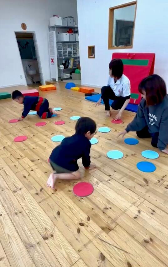 集団