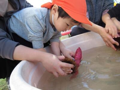 1枚目の豊橋くすのき学園のメイン画像