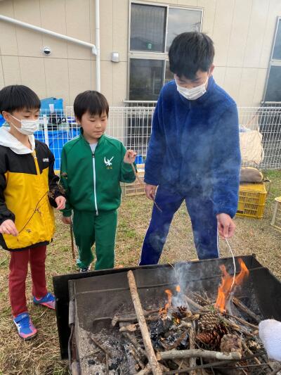 樹・たつきの写真