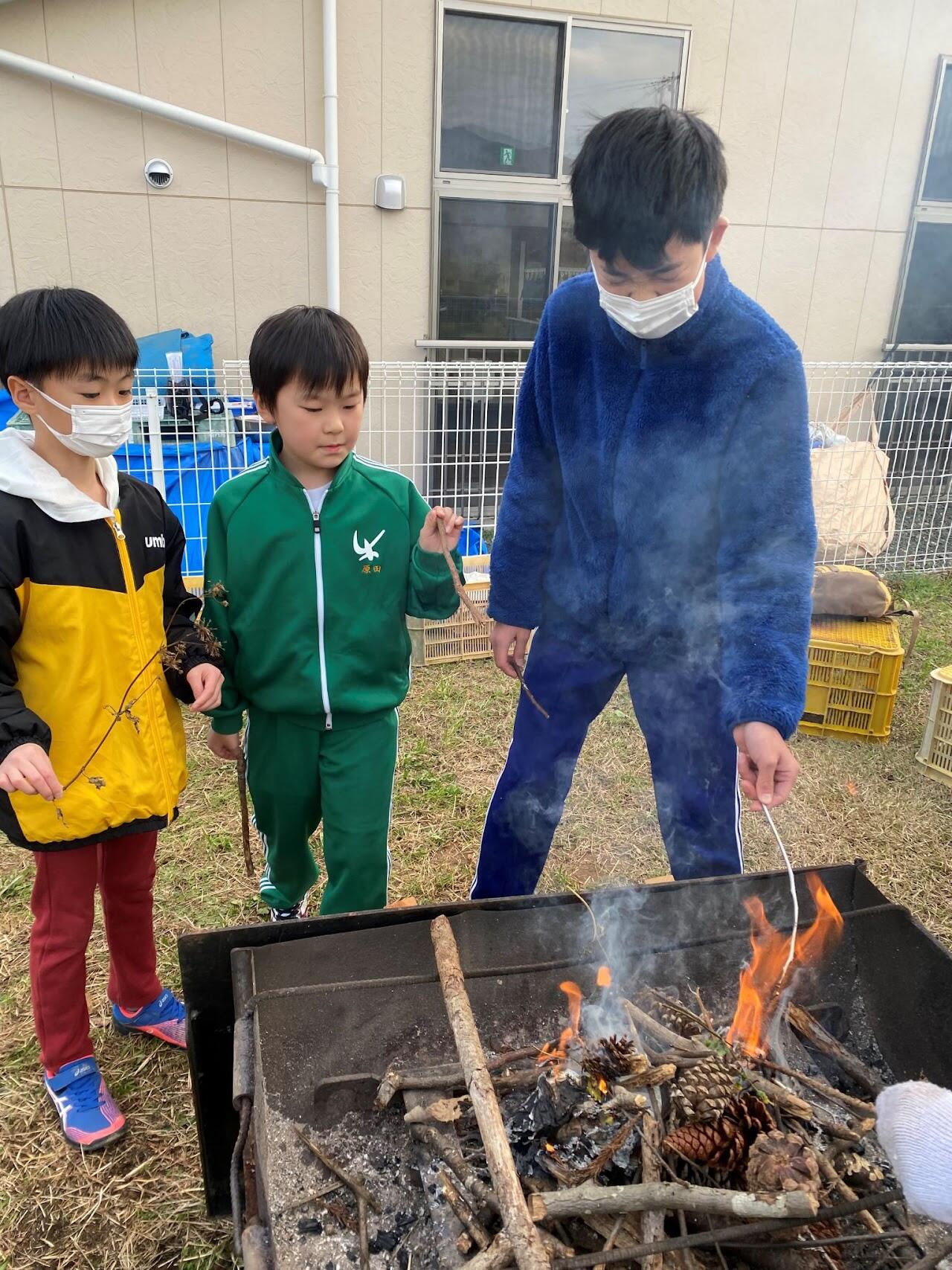 樹・たつきの写真