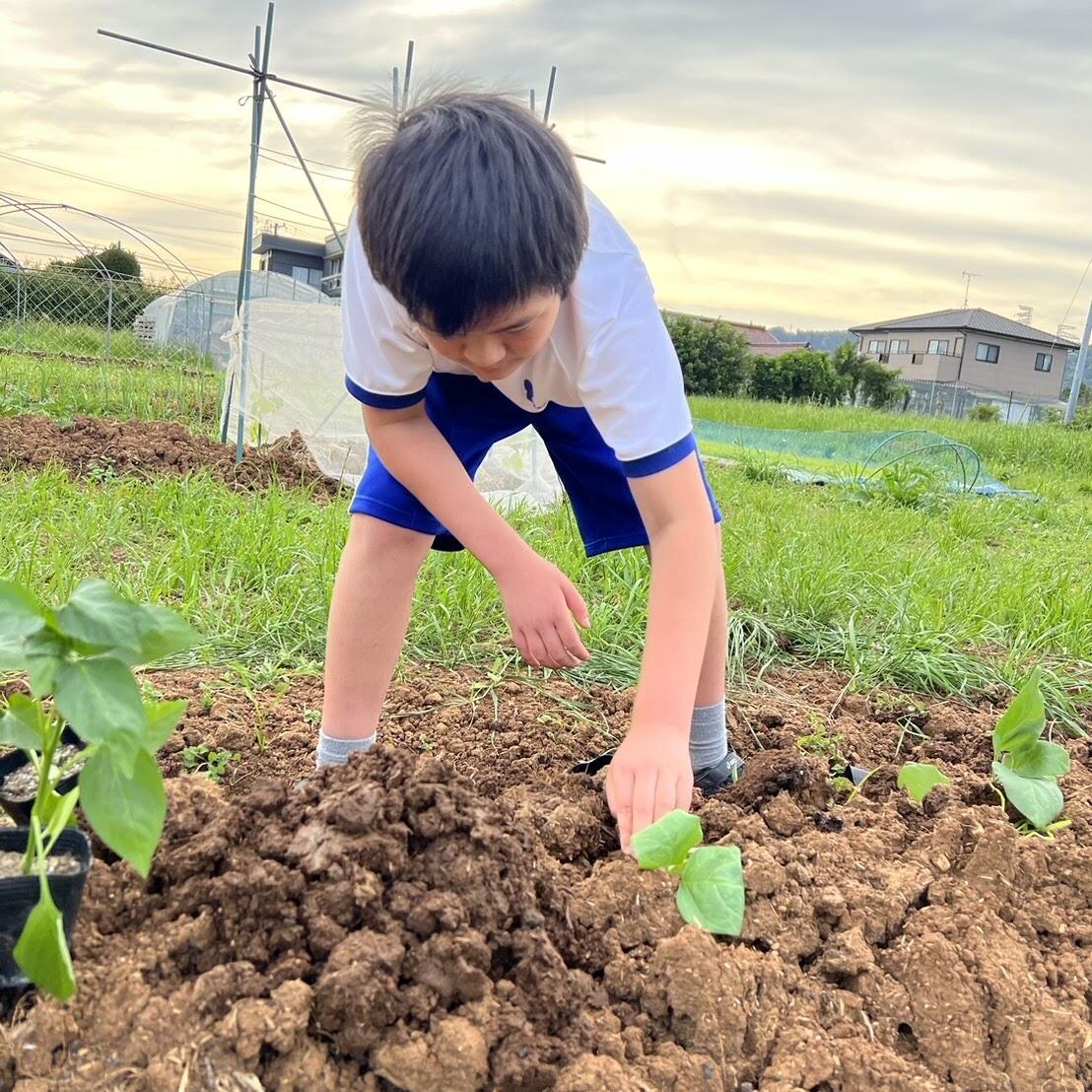 樹・たつきの写真