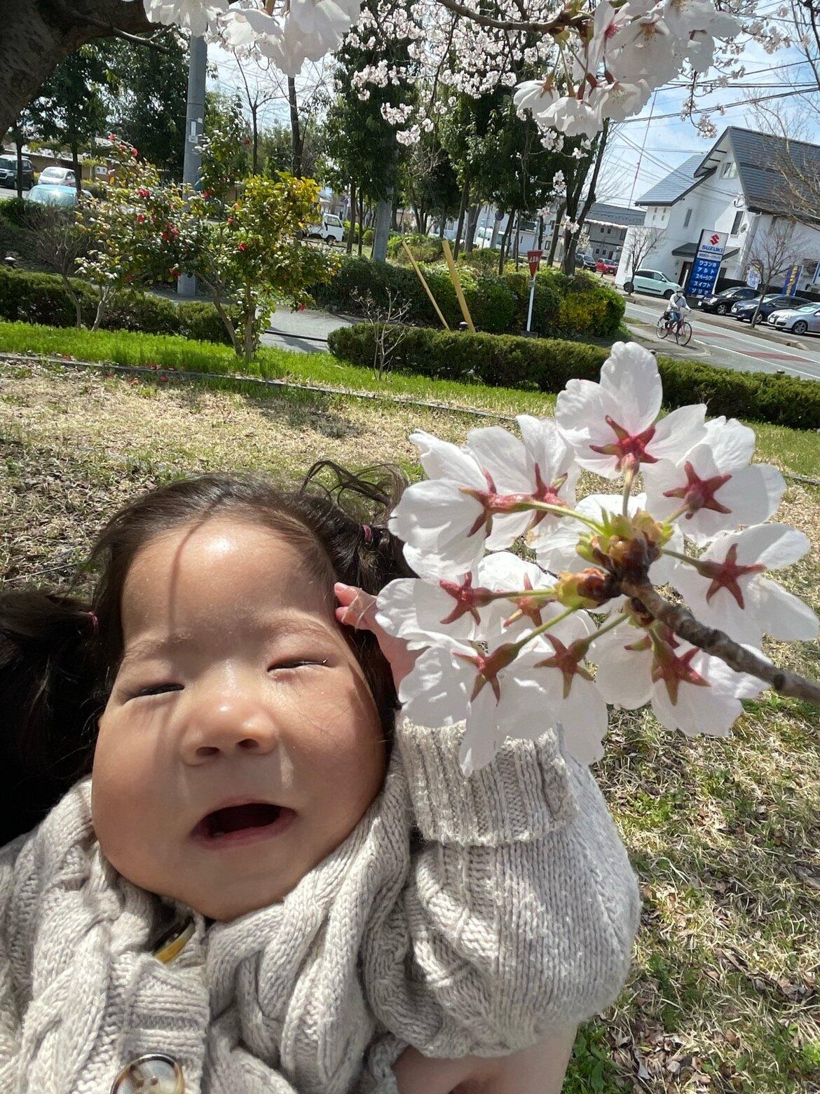 こどもリハビリデイサービスゆめ希 山形店の写真(9)