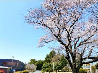 2枚目の愛厚希全の里のメイン画像