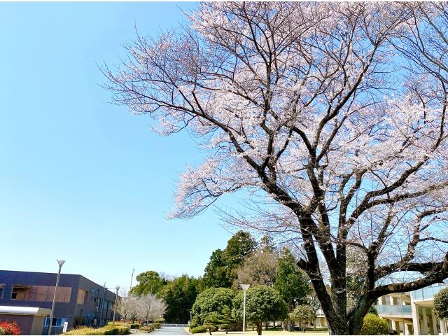 愛厚希全の里の写真(2)
