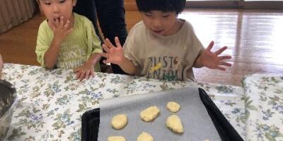 樹・たつきの写真
