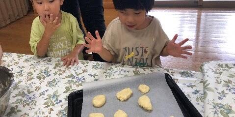 樹・たつきの写真