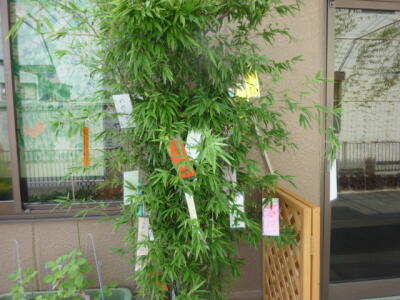 こどもデイサービスしょこらの写真