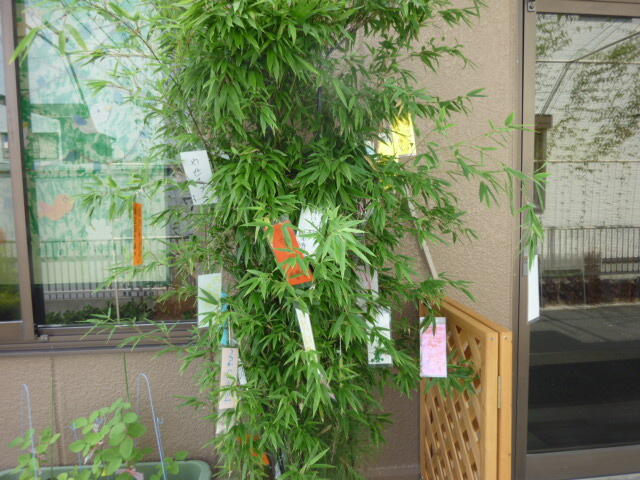 こどもデイサービスしょこらの写真