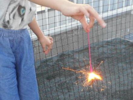 かずおの森の写真