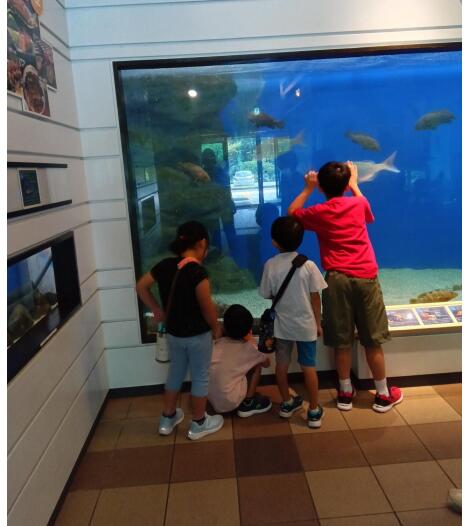 小浜市母と子の家児童発達支援センターCokoUtaの写真
