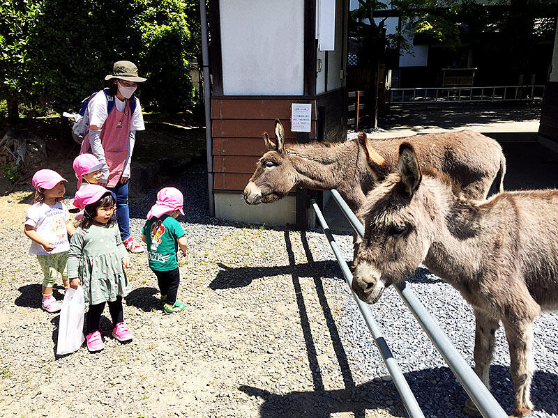 おうち保育園かしわぎ（仙台）の写真(4)