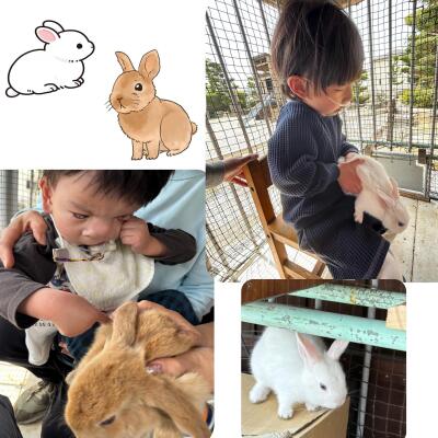 動物とのふれあい体験