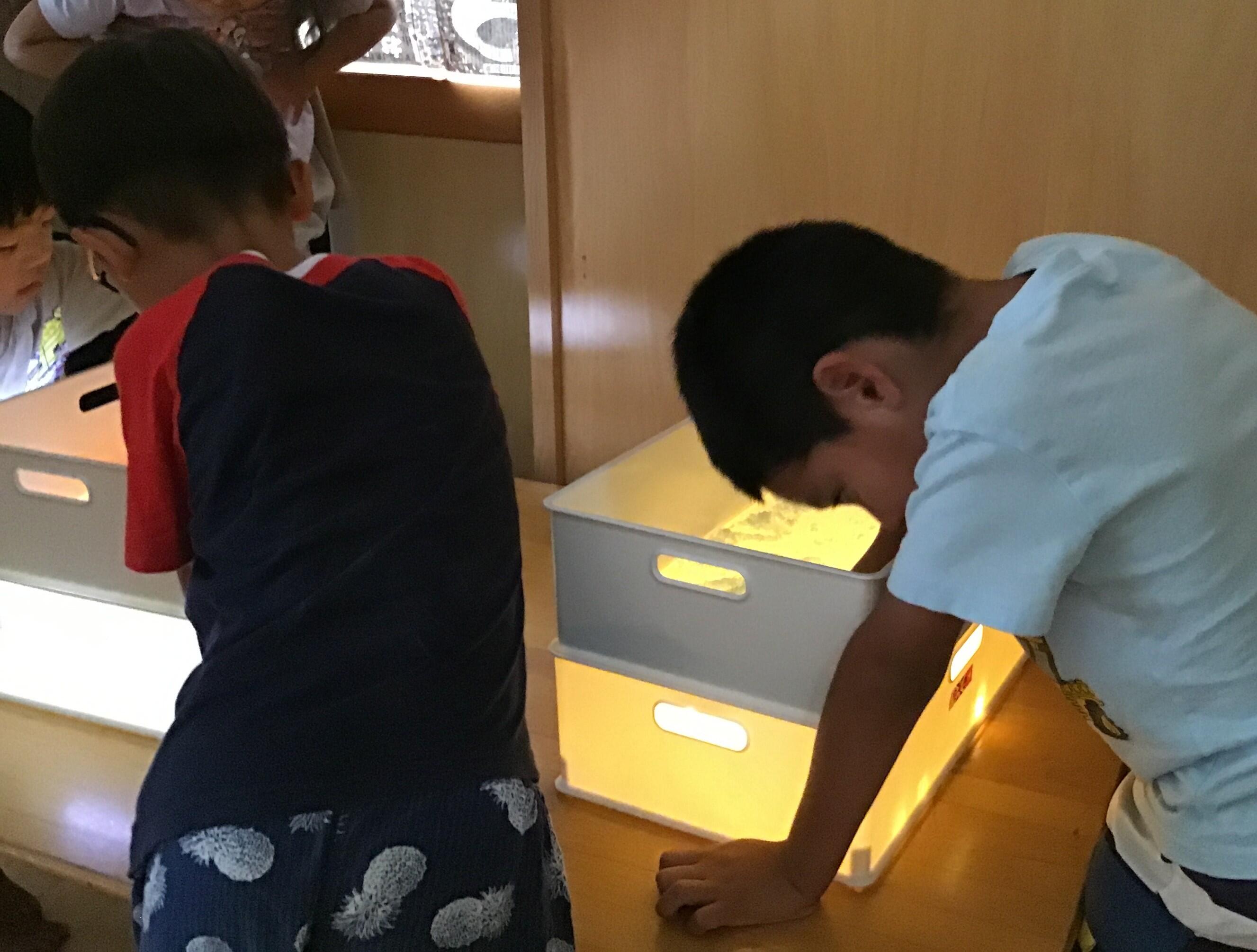 光の活動。どんな模様ができるかな？