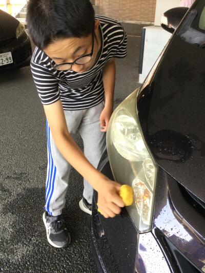 たまりばレッドの写真