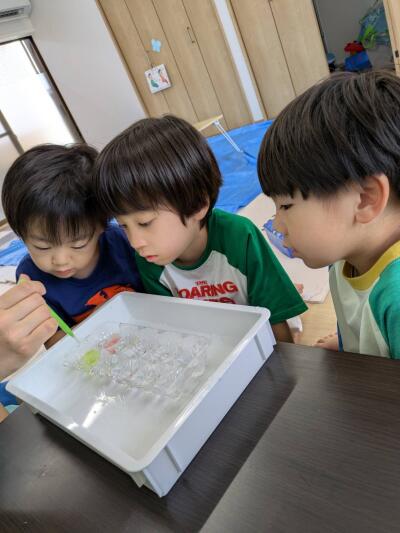 こぱんはうすさくら　豊川教室の写真